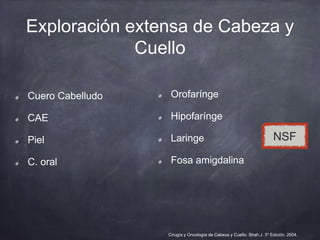 Cuero Cabelludo
CAE
Piel
C. oral
Exploración extensa de Cabeza y
Cuello
Orofarínge
Hipofarínge
Laringe
Fosa amigdalina
NSF...