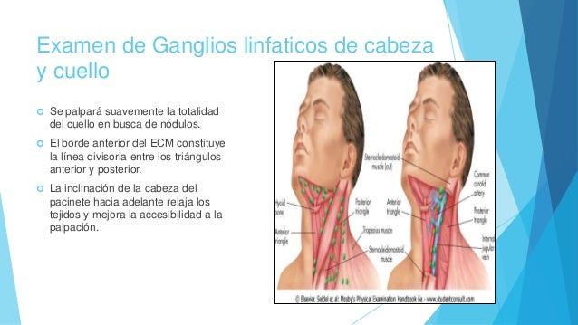 Curar el dolor en los riñones a la osteocondrosis