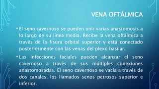 VENA OFTÁLMICA
• El seno cavernoso se pueden unir varias anastomosis a
lo largo de su línea media. Recibe la vena oftálmica a
través de la fisura orbital superior y está conectado
posteriormente con las venas del plexo basilar.
• Las infecciones faciales pueden alcanzar el seno
cavernoso a través de sus múltiples conexiones
anastomosadas. El seno cavernoso se vacía a través de
dos canales, los llamados senos petrosos superior e
inferior.
 