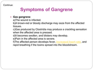Symptoms of Gangrene
 Gas gangrene:
a)The wound is infected.
b)A brown-red or bloody discharge may ooze from the affected
tissues.
c)Gas produced by Clostridia may produce a crackling sensation
when the affected area is pressed.
d)It becomes swollen, and blisters may develop.
e)Pain in the affected area is severe.
f)The affected person develops fever, increased heart rate, and
rapid breathing if the toxins spread into the bloodstream.
Continue:
 