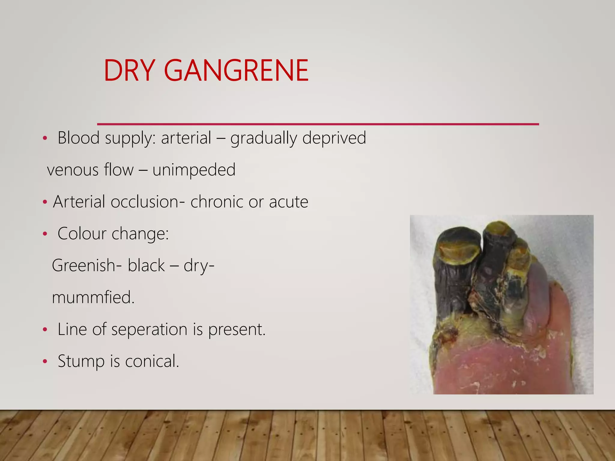 DRY GANGRENE
• Blood supply: arterial – gradually deprived
venous flow – unimpeded
• Arterial occlusion- chronic or acute
• Colour change:
Greenish- black – dry-
mummfied.
• Line of seperation is present.
• Stump is conical.
 