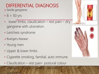 DIFFERENTIAL DIAGNOSIS
Senile gangrene:
• 8 > 50 yrs
• lower limbs, claudication – rest pain – dry
gangrene with ulceration.
• Lericheis syndrome
Buergers disease:
• Young men
• Upper & lower limbs
• Cigarette smoking, familial, auto immune
• Claudication – rest pain- postural colour
changes- trophic changes-ulceration
gangrene
 