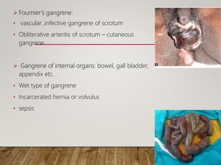  Fournier’s gangrene:
• vascular ,infective gangrene of scrotum
• Obliterative arteritis of scrotum – cutaneous
gangrene
 Gangrene of internal organs: bowel, gall bladder,
appendix etc.
• Wet type of gangrene
• Incarcerated hernia or volvulus
• sepsis
 