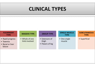 CLINICAL TYPES
FULMINANT
TYPE
• Rapid progress
• Toxemia
• Renal or liver
failure
MASSIVE TYPE
• Whole of one
limb involved
GROUP TYPE
• Extensors of
thigh
• Flexors of leg
SINGLE MUSCLE
TYPE
• One single
muscle
SUBCUTANEOUS
TYPE
• Superficial
 