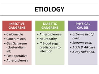 ETIOLOGY
INFECTIVE
GANGRENE
• Carbuncule
• Cancrum oris
• Gas Gangrene
(closteridium
inf)
• Post operative
• Atherosclerosis
DIABETIC
GANGRENE
• Atherosclerosis
• Neuropathy
• ↑Blood sugar
predisposes to
infection
PHYSICAL
CAUSES
• Extreme heat /
burn.
• Extreme cold.
• Acids & Alkalies
• X-ray radiation.
 