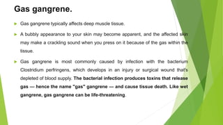 Gas gangrene.
 Gas gangrene typically affects deep muscle tissue.
 A bubbly appearance to your skin may become apparent, and the affected skin
may make a crackling sound when you press on it because of the gas within the
tissue.
 Gas gangrene is most commonly caused by infection with the bacterium
Clostridium perfringens, which develops in an injury or surgical wound that's
depleted of blood supply. The bacterial infection produces toxins that release
gas — hence the name "gas" gangrene — and cause tissue death. Like wet
gangrene, gas gangrene can be life-threatening.
 