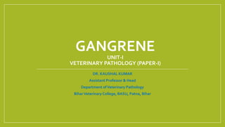 GANGRENE
UNIT-I
VETERINARY PATHOLOGY (PAPER-I)
DR. KAUSHAL KUMAR
Assistant Professor & Head
Department ofVeterinary Pathology
BiharVeterinary College, BASU, Patna, Bihar
 