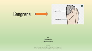Gangrene
By
Amira Essam
Medical student
-source-
Short text book of pathology Dr Mohamed danish
 