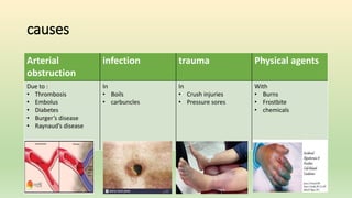 causes
Arterial
obstruction
infection trauma Physical agents
Due to :
• Thrombosis
• Embolus
• Diabetes
• Burger’s disease
• Raynaud’s disease
In
• Boils
• carbuncles
In
• Crush injuries
• Pressure sores
With
• Burns
• Frostbite
• chemicals
 