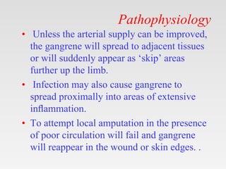 Pathophysiology
• Unless the arterial supply can be improved,
the gangrene will spread to adjacent tissues
or will suddenly appear as ‘skip’ areas
further up the limb.
• Infection may also cause gangrene to
spread proximally into areas of extensive
inﬂammation.
• To attempt local amputation in the presence
of poor circulation will fail and gangrene
will reappear in the wound or skin edges. .
 