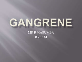 MR B MABUMBA
BSC CM
 