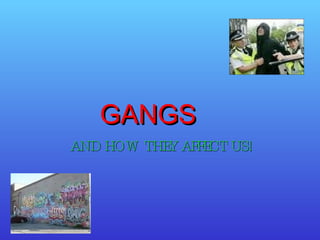 AND HOW THEY AFFECT US! GANGS 
