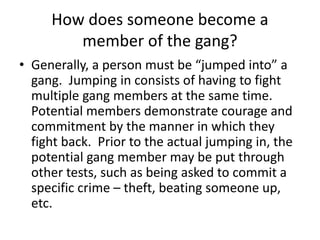 How does someone become a
member of the gang?
• Generally, a person must be “jumped into” a
gang. Jumping in consists of having to fight
multiple gang members at the same time.
Potential members demonstrate courage and
commitment by the manner in which they
fight back. Prior to the actual jumping in, the
potential gang member may be put through
other tests, such as being asked to commit a
specific crime – theft, beating someone up,
etc.
 