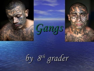 Gangs by  8 th  grader 