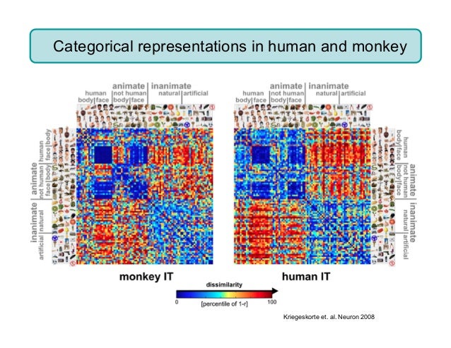 Theoretical Neuroscience and Deep Learning Theory