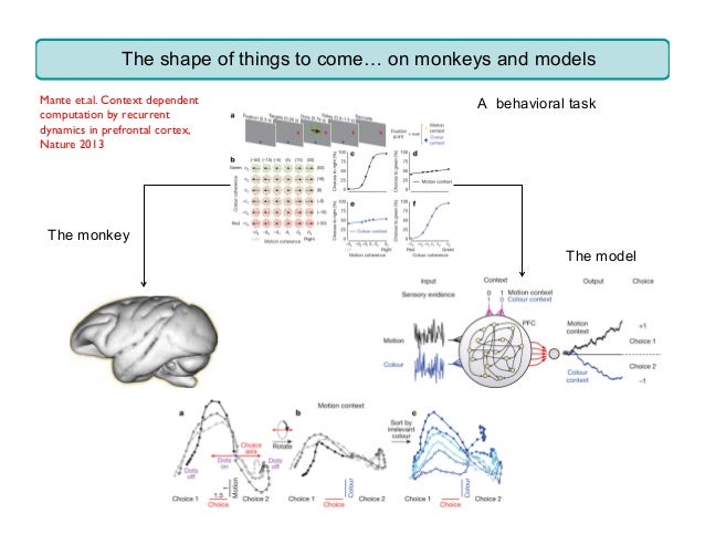 Theoretical Neuroscience and Deep Learning Theory