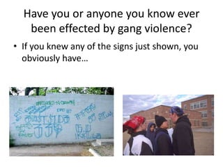Have you or anyone you know ever been effected by gang violence?If you knew any of the signs just shown, you obviously have…