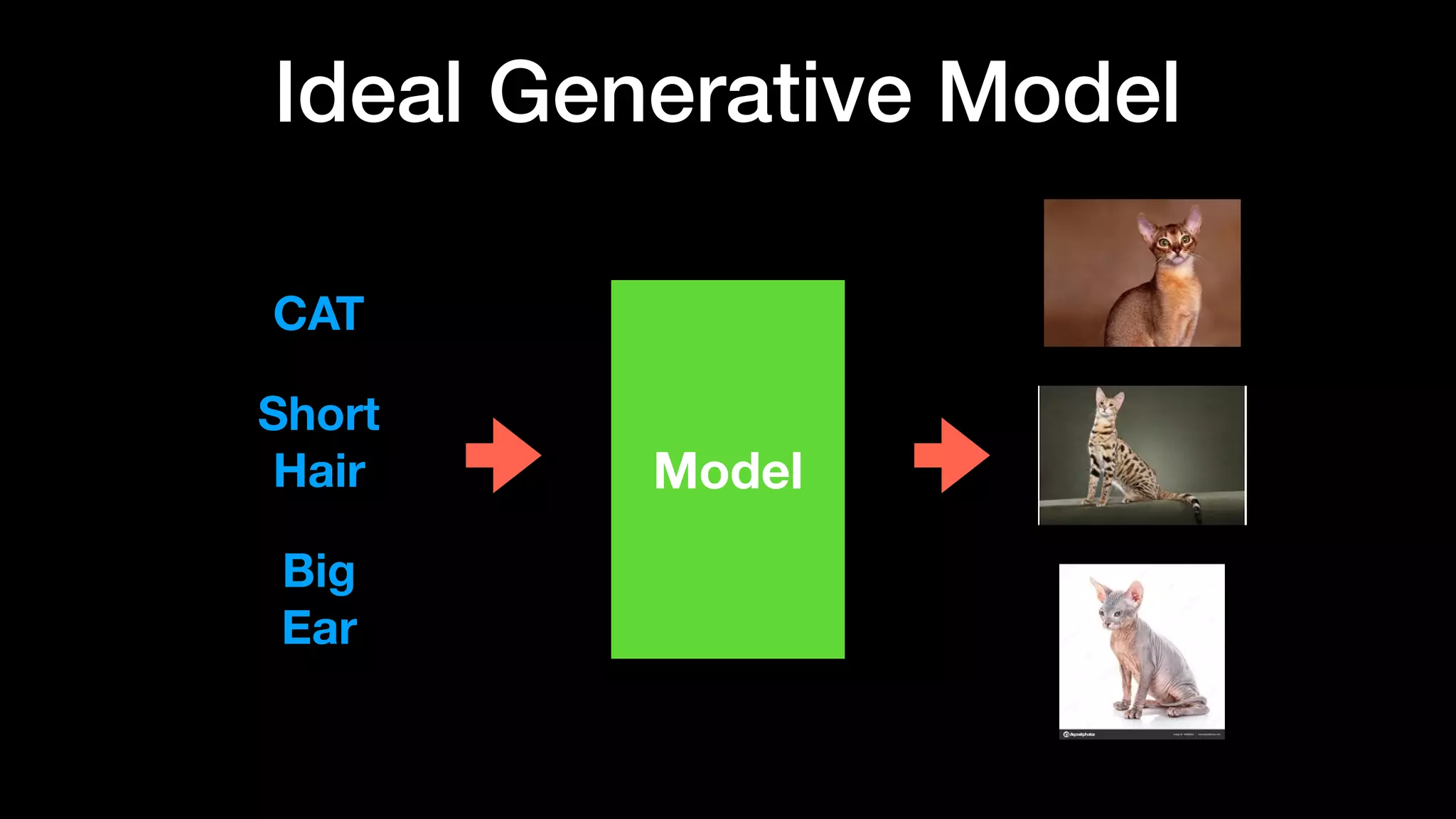 Ideal Generative Model
Model
CAT
Short
Hair
Big
Ear
 