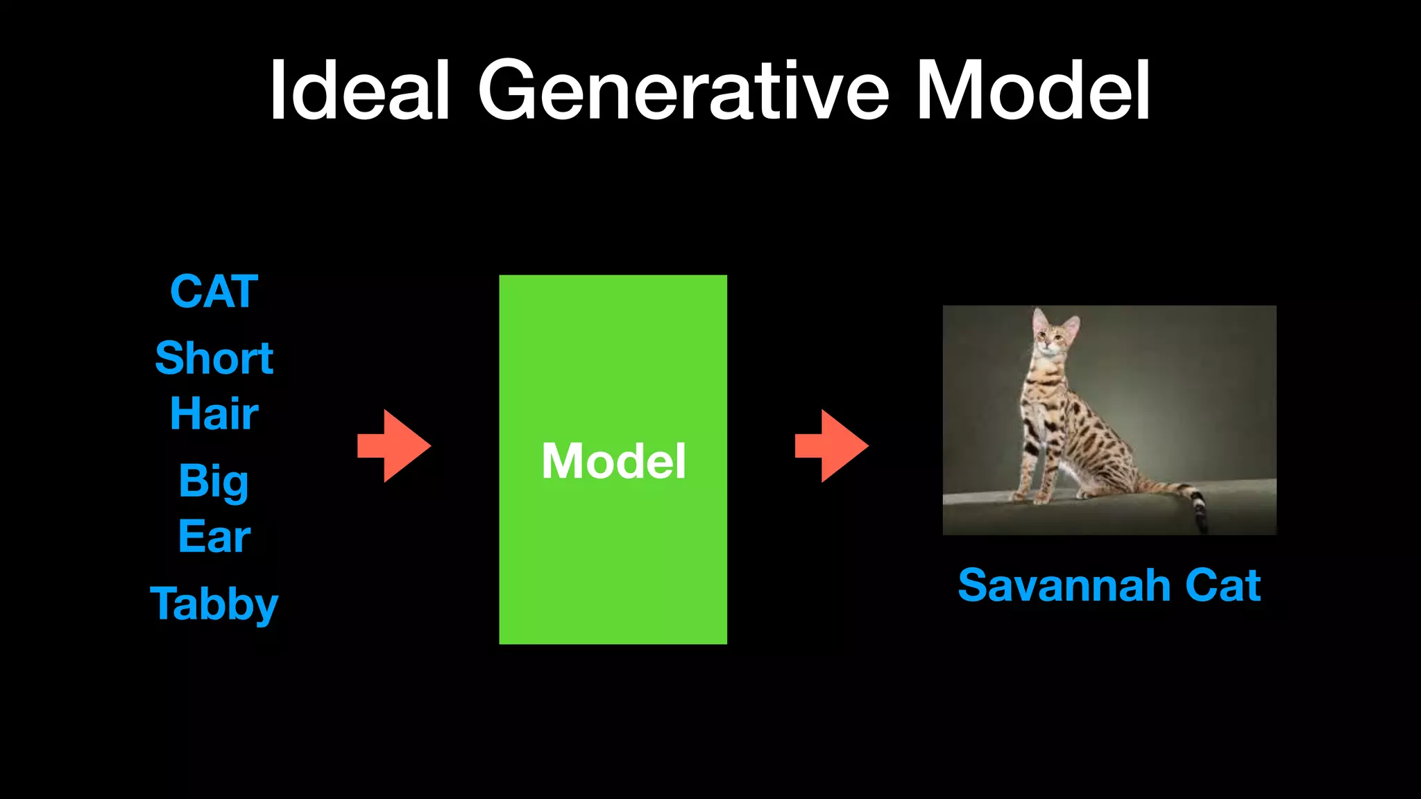 Ideal Generative Model
Model
CAT
Short
Hair
Big
Ear
Tabby Savannah Cat
 