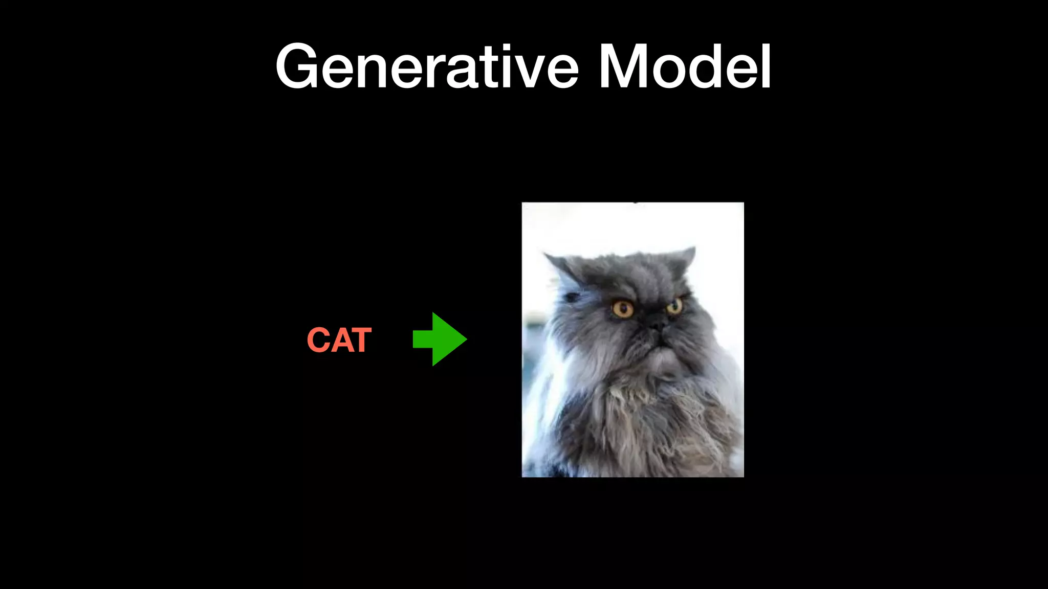 CAT
Generative Model
 