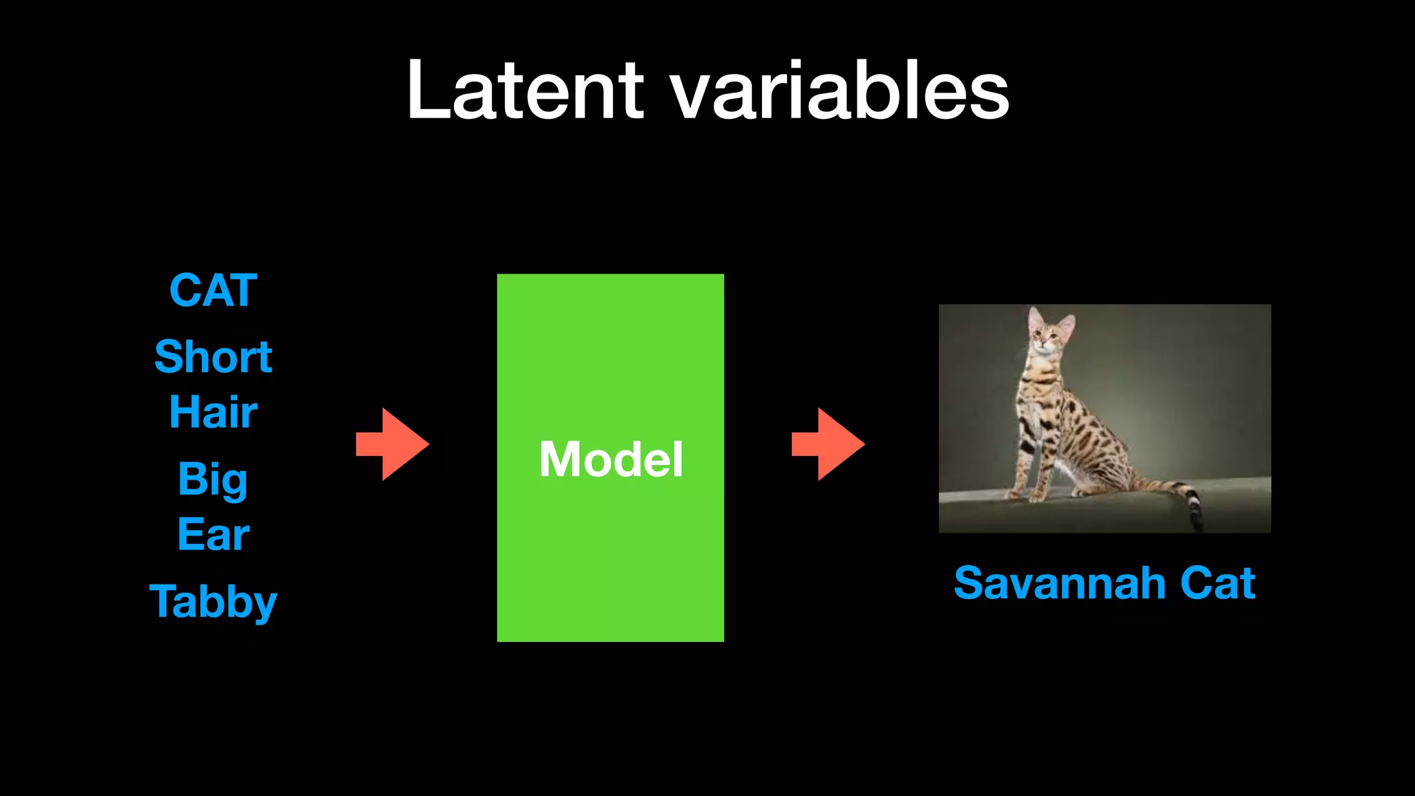 Latent variables
Model
CAT
Short
Hair
Big
Ear
Tabby Savannah Cat
 