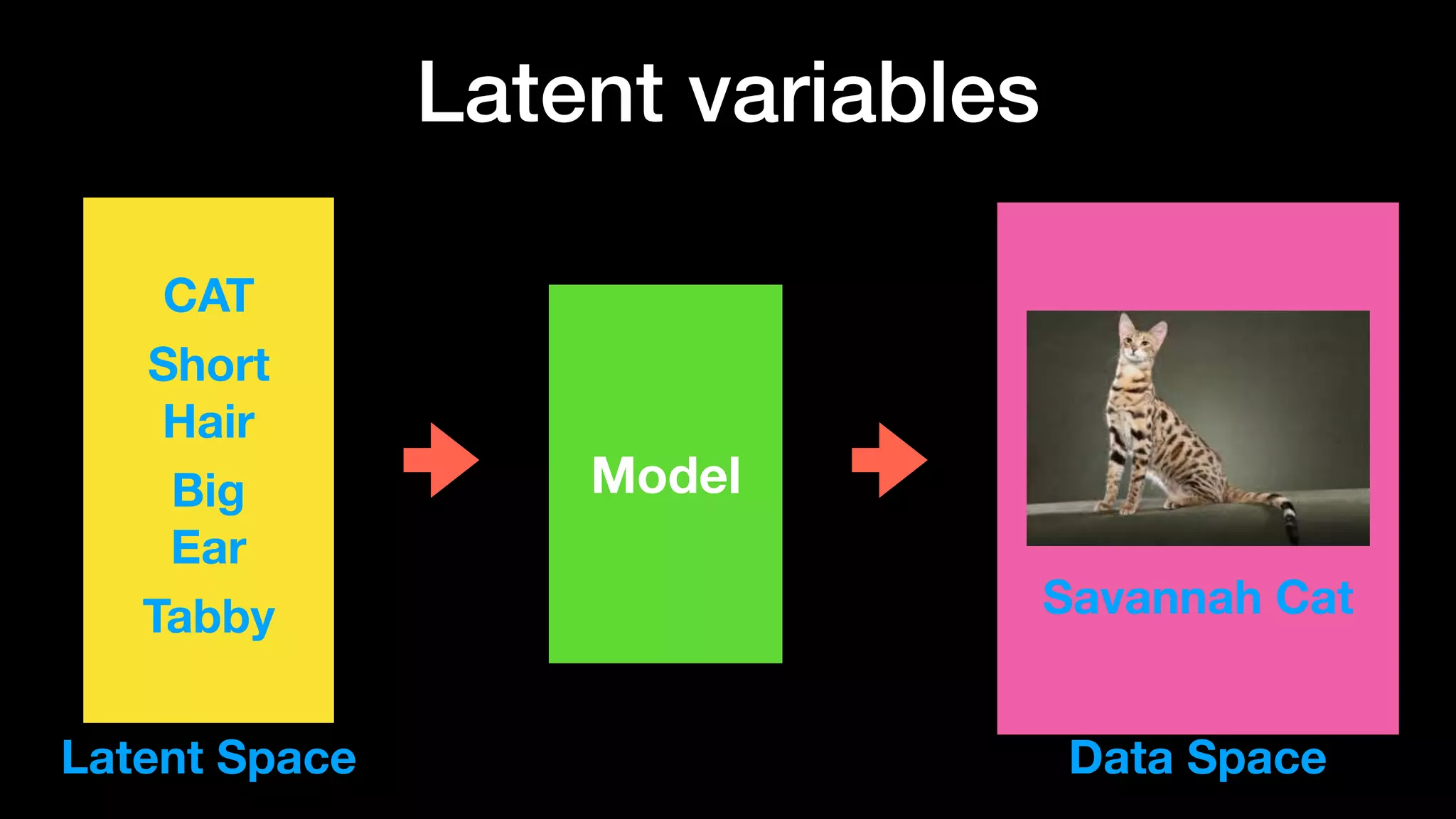 Latent variables
Model
CAT
Short
Hair
Big
Ear
Tabby Savannah Cat
Latent Space Data Space
 