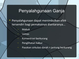 Penyalahgunaan Ganja

    Penyalahgunaan dapat menimbulkan efek
    tersendiri bagi pemakainya diantaranya...
        −    Mabuk
        −    Lemas
        −    Konsentrasi berkurang
        −    Penglihatan kabur
        −    Pasokan sirkulasi darah > jantung berkurang
 