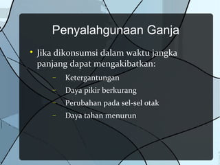 Penyalahgunaan Ganja

    Jika dikonsumsi dalam waktu jangka
    panjang dapat mengakibatkan:
       −   Ketergantungan
       −   Daya pikir berkurang
       −   Perubahan pada sel-sel otak
       −   Daya tahan menurun
 