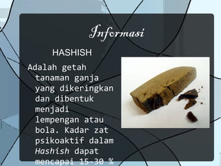 Informasi
     HASHISH
Adalah getah
  tanaman ganja
  yang dikeringkan
  dan dibentuk
  menjadi
  lempengan atau
  bola. Kadar zat
  psikoaktif dalam
  Hashish dapat
  mencapai 15-30 %
 