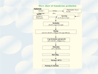 Sawdust or
Wheat grain
Spawn
Sawdust + Wetting
Wheat bran (65%)
Pasteurization 22 p.s.i
for 2hrs
Spawning
@ 3% dry wt. basis
Incubation
(28-32°C, high CO2, dark)
Pinning
(28-32°C, RH 95%, 1500ppm CO2, light>800 lux)
Cap formation and growth
(28°C, RH 80%, 1000ppm CO2 )
Maturation
(25°C, RH 60%)
Harvesting
Drying (<45°C)
Packing (N2 flushed)
Flo w chart of Ganoderma production
Substrate
 