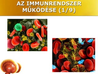 AZ IMMUNRENDSZER
 MŰKÖDÉSE (1/9)
 