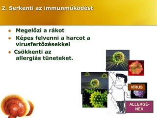 2. Serkenti az immunműködést



    Megelőzi a rákot
    Képes felvenni a harcot a
     vírusfertőzésekkel
    Csökkenti az
     allergiás tüneteket.




                             CANCER   VÍRUS



                                      ALLERGÉ-
                                        NEK
 
