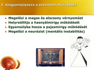 3. Kiegyensúlyozza a szervezet működését



     Megelőzi a magas és alacsony vérnyomást
     Helyreállítja a hasnyálmirigy működését
     Egyensúlyba hozza a pajzsmirigy működését
     Megelőzi a neurózist (mentális instabilitás)
 
