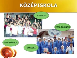 KÖZÉPISKOLA
                           STRESSZ




                                     ÉTEL-TOXINOK




ÉTEL-TOXINOK

                 STRESSZ
 