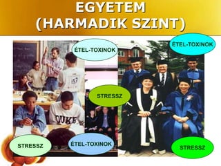 EGYETEM
    (HARMADIK SZINT)
                           ÉTEL-TOXINOK
           ÉTEL-TOXINOK




                 STRESSZ




STRESSZ   ÉTEL-TOXINOK
                             STRESSZ
 