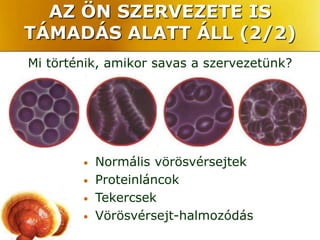 AZ ÖN SZERVEZETE IS
TÁMADÁS ALATT ÁLL (2/2)
Mi történik, amikor savas a szervezetünk?




        •   Normális vörösvérsejtek
        •   Proteinláncok
        •   Tekercsek
        •   Vörösvérsejt-halmozódás
 