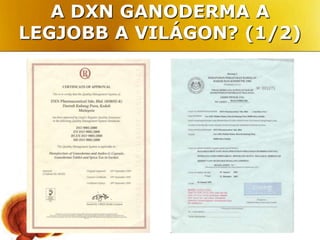 A DXN GANODERMA A
LEGJOBB A VILÁGON? (1/2)
 