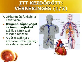 ITT KEZDŐDÖTT:
        VÉRKERINGÉS (1/3)
A vérkeringés funkciói a
  következők:
 Oxigént, tápanyagot
  és immunsejteket
  szállít a szervezet
  minden részébe.
 A vér elszállítja a
  szervezetből a méreg-
  és salakanyagokat.
 
