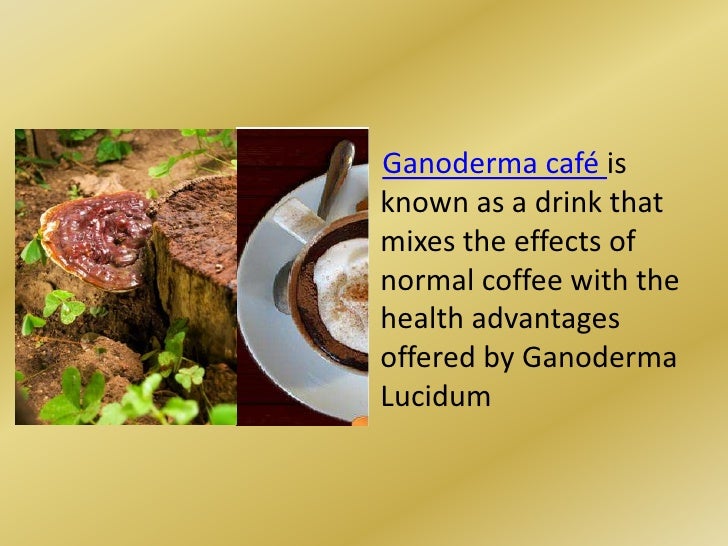Ganoderma Cafe is Ganoderma Lucidum and Coffee