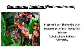 Ganoderma lucidum(Red mushroom)
Presented by:- Shailendra shah
Department of pharmaceutical
Science
Nobel college, Pokhara
University
 