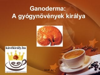 Ganoderma:
A gyógynövények királya
kávékirály.hu
 