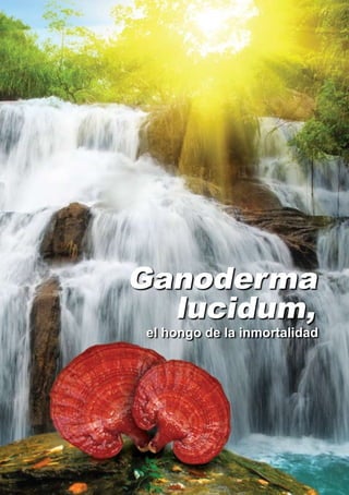 Ganoderma
  lucidum,
el hongo de la inmortalidad
 
