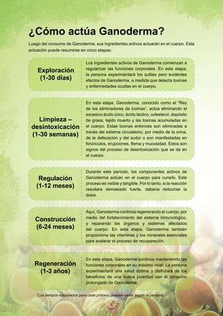 ¿Cómo actúa Ganoderma?
Luego del consumo de Ganoderma, sus ingredientes activos actuarán en el cuerpo. Esta
actuación puede resumirse en cinco etapas:

                               Los ingredientes activos de Ganoderma comienzan a
                               regularizar las funciones corporales. En esta etapa,
    Exploración
                               la persona experimentará los sutiles pero evidentes
     (1-30 días)               efectos de Ganoderma, a medida que detecta toxinas
                               y enfermedades ocultas en el cuerpo.


                               En esta etapa, Ganoderma, conocido como el “Rey
                               de los eliminadores de toxinas”, actúa eliminando el
                               excesivo ácido úrico, ácido láctico, colesterol, depósito
    Limpieza –                 de grasa, tejido muerto y las toxinas acumuladas en
 desintoxicación               el cuerpo. Estas toxinas entonces son eliminadas a
                               través del sistema circulatorio, por medio de la orina,
 (1-30 semanas)                de la defecación y del sudor o son manifestadas en
                               forúnculos, erupciones, flema y mucosidad. Estos son
                               signos del proceso de desintoxicación que se da en
                               el cuerpo.


                               Durante este período, los componentes activos de
    Regulación                 Ganoderma actúan en el cuerpo para curarlo. Este
                               proceso es visible y tangible. Por lo tanto, si la reacción
   (1-12 meses)                resultara demasiado fuerte, debería reducirse la
                               dosis.


                               Aquí, Ganoderma continúa regenerando el cuerpo, por
                               medio del fortalecimiento del sistema inmunológico,
   Construcción
                               y reparando los órganos y sistemas afectados
   (6-24 meses)                del cuerpo. En esta etapa, Ganoderma también
                               proporciona las vitaminas y los minerales esenciales
                               para acelerar el proceso de recuperación.



                               En esta etapa, Ganoderma continúa manteniendo las
   Regeneración                funciones corporales en su máximo nivel. La persona
    (1-3 años)                 experimentará una salud óptima y disfrutará de los
                               beneficios de una nueva juventud con el consumo
                               prolongado de Ganoderma.

   *Los tiempos estipulados para cada proceso pueden variar según la persona.

                                             6
 