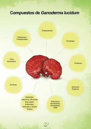 Compuestos de Ganoderma lucidum


                                           Polisacáridos


               Triterpenes /
              Triterpenoides
                                                                    Complejos




    Fibra
Alimentaria
                                                                            Proteínas




   Enzimas
                                                                         Germanio
                                                                         Orgánico



                         Alcaloides,
                    Vitaminas, Minerales
                        Esenciales,                   Adenosina,
                         Esteroides,                 Nucleósidos,
                                                     Nucleótidos,
                     Esteroles y Ácidos
                                                        ARN
                           Grasos




                                              7
 
