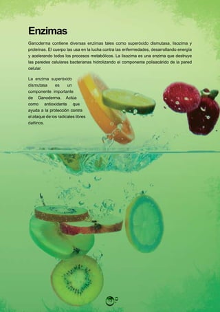 Enzimas
Ganoderma contiene diversas enzimas tales como superóxido dismutasa, lisozima y
proteínas. El cuerpo las usa en la lucha contra las enfermedades, desarrollando energía
y acelerando todos los procesos metabólicos. La lisozima es una enzima que destruye
las paredes celulares bacterianas hidrolizando el componente polisacárido de la pared
celular.

La enzima superóxido
dismutasa      es     un
componente importante
de Ganoderma. Actúa
como antioxidante que
ayuda a la protección contra
el ataque de los radicales libres
dañinos.




                                          13
 