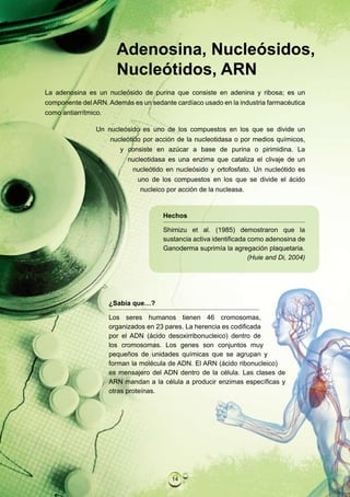 Adenosina, Nucleósidos,
                       Nucleótidos, ARN
La adenosina es un nucleósido de purina que consiste en adenina y ribosa; es un
componente del ARN. Además es un sedante cardíaco usado en la industria farmacéutica
como antiarrítmico.

                Un nucleósido es uno de los compuestos en los que se divide un
                    nucleótido por acción de la nucleotidasa o por medios químicos,
                       y consiste en azúcar a base de purina o pirimidina. La
                         nucleotidasa es una enzima que cataliza el clivaje de un
                            nucleótido en nucleósido y ortofosfato. Un nucleótido es
                             uno de los compuestos en los que se divide el ácido
                              nucleico por acción de la nucleasa.


                                      Hechos

                                      Shimizu et al. (1985) demostraron que la
                                      sustancia activa identificada como adenosina de
                                      Ganoderma suprimía la agregación plaquetaria.
                                                                    (Huie and Di, 2004)




                    ¿Sabía que…?

                    Los seres humanos tienen 46 cromosomas,
                    organizados en 23 pares. La herencia es codificada
                    por el ADN (ácido desoxirribonucleico) dentro de
                    los cromosomas. Los genes son conjuntos muy
                    pequeños de unidades químicas que se agrupan y
                    forman la molécula de ADN. El ARN (ácido ribonucleico)
                    es mensajero del ADN dentro de la célula. Las clases de
                    ARN mandan a la célula a producir enzimas específicas y
                    otras proteínas.




                                        14
 