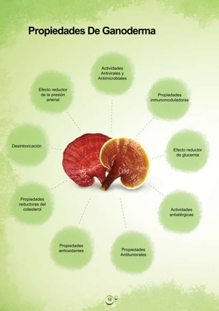 Propiedades De Ganoderma


                                        Actividades
                                        Antivirales y
                                       Antimicrobiales

             Efecto reductor
              de la presión                                          Propiedades
                 arterial                                         inmunomoduladoras




Desintoxicación
                                                                            Efecto reductor
                                                                             de glucemia




    Propiedades
   reductoras del
     colesterol                                                           Actividades
                                                                          antialérgicas




                       Propiedades
                       antioxidantes              Propiedades
                                                  Antitumorales




                                           16
 