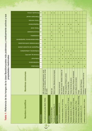 Tabla 1: Referencia de los hongos de la clase Basidiomycetes más poderosos y medicamente activos y sus
                                                  propiedades medicinales




            Nombre científico                         Nombres comunes




                                                                                            Antimicótico
                                                                                                           Antiinflamatorio
                                                                                                                              Antitumoral
                                                                                                                                            Antiviral (ej. anti-VIH)
                                                                                                                                                                       Antibacterial y antiparasitario
                                                                                                                                                                                                         Regulación de la presión arterial
                                                                                                                                                                                                                                             Enfermedades cardiovasculares
                                                                                                                                                                                                                                                                             Hipercolesterolemia, hiperlipidemia
                                                                                                                                                                                                                                                                                                                   Antidiabético
                                                                                                                                                                                                                                                                                                                                   Inmunomodulador
                                                                                                                                                                                                                                                                                                                                                     Tónico renal
                                                                                                                                                                                                                                                                                                                                                                    Hepatoprotector
                                                                                                                                                                                                                                                                                                                                                                                      Tónico nervioso
                                                                                                                                                                                                                                                                                                                                                                                                        Potenciador sexual
                                                                                                                                                                                                                                                                                                                                                                                                                             Bronquitis crónica




     Auriculariales                                                                            1               2                 3                4                            5                                  6                                 7                                 8                               9            10                 11            12                13                 14                   15
                                                  Jelly fungi (hongos gelatinosos), wood
     Auricularia auricula-judae (Bull.) Wettst.   ear (oreja de madera), cloud ear (oreja                                                                                                                                                                                                                                                                                                                                  




17
                                                  de nube)
     Tremellales
     Tremella fuciformis Berk.                    Silver ear                                                                                                                                                                                                                                                                                                                                                             
     Tremella mesenterica Rits.:Fr.               Witch’s butter (Manteca de los brujos)                                                                                                                                                                                                                                                                                                                                      
     Polyporales
     Schizophyllum commune Fr.:Fr.                Common porecrust                                                                                                                                                                                                                                                                                               
                                                  Hen of the woods, Maitake (Gallina de
     Grifola frondosa (Dicks.:Fr.) S.F.Gray                                                                                                                                                                                                                                                                                                                                                                            
                                                  los bosques)
     Fomes fomentarius (L.:Fr.) Fr.               Tinder polypore (Políporo yesca)                                                                                        
     Fomitopsis pinicola (Schw.:Fr.) P. Karst.    Brown Crumbly Rot                                                                                                                                                                                                                                                                                                
     Trametes versicolor (L.:Fr.) Lloyd           Turkey tail (Cola de pavo)                                                                                                                                                                                                                                                                                      
     Piptoporus betulinus (Bull.:Fr.) P. Karst.   Birch Polypore (Políporo del abedul)                                                                                   
     Hericium erinaceus (Bull.:Fr.) Pers.         Lion’s Mane (Crin de león)                                                                                                                                                                                                                                                                                                                                                
     Inonotus obliquus (Pers.:Fr.) Bond.et Sing. Chaga                                                                                                                                                                                                                                                                                                             
     Lenzites betulina (L.:Fr.) Fr.               Multicolor Gill Polypore                                                                                                                                                                      
                                                  Chicken of the wood (Pollo de los
     Laetiporus sulphureus (Bull.:Fr.) Murr.                                                                                  
                                                  bosques)
 