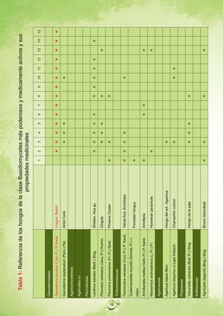 Tabla 1: Referencia de los hongos de la clase Basidiomycetes más poderosos y medicamente activos y sus
                                                  propiedades medicinales

                                                                             1   2   3   4   5   6   7   8   9   10   11   12   13   14   15

     Ganodermatales

     Ganoderma lucidum (Curt.:Fr.) P. Karst.      Lingzhi, Reishi                                                            

     Ganoderma applanatum (Pers.) Pat.            Artist Conk                                                 

     Agaricomycetideae

     Agaricales s.l.

     Pleurotaceae

     Lentinus edodes (Berk.) Sing.                Shitake, Hua gu                                                          

     Pleurotus ostreatus (Jacq.:Fr.) Kumm.        Gírgola                                                                   

     Pleurotus pulmonarius (Fr.:Fr.) Quel.        Phoenix Oyster                                       




18
     Tricholomataceae

     Flammulina velutipes (Curt.:Fr.) P. Karst.   Velvet foot, Enokitake                                     
     Oudemansiella mucida (Schrad.:Fr.) v.
                                                  Porcelain fungus           
     Höhn.
     Armillariella mellea (Vahl.:Fr.) P. Karst.   Armillaria                                                                 

     Marasmius androsaceus (L.:Fr.) Fr.           Horsehair parachute                                                          

     Agaricaceae

     Agaricus blazei Murr.                        Hongo del sol , Agaricus           

     Agaricus bisporus (J.Lge) Imbach.            Champiñón común                                                   

     Pluteaceae

     Volvariella volvacea (Bull.:Fr.) Sing.       Hongo de la paja                                    

     Bolbitiaceae

     Agrocybe aegerita (Brig.) Sing.              Brown Swordbelt                                                            
 