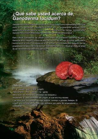 ¿Qué sabe usted acerca de
Ganoderma lucidum?
Ganoderma lucidum (Ganoderma rojo) es un hongo usado como medicamento tradicional
chino. En la actualidad, Ganoderma lucidum aún es ampliamente venerado como
suplemento preciado para la salud y como medicamento de hierbas, mundialmente.
Ganoderma Lucidum ofrece esta naturaleza de beneficios para la salud.

Para cultivar Ganoderma, se utilizan como medio de plantación, cascarilla de arroz,
harina de arroz integral y corteza de árbol de caucho. No se usan químicos, pesticidas ni
hormonas en el cultivo. La exposición al sol también es controlada para asegurar que las
propiedades terapéuticas no se pierdan. Ganoderma demora 3 meses en madurar antes
de ser recoletado bajo estricta supervisión.




¿Sabía que…?

En el pasado, para hallar Lingzhi,
medicamento muy valioso, la gente
debía subir las montañas y atravesar los bosques y
recolectarlo. El descubrimiento del Lingzhi, el cual era muy escaso
y se creía que otorgaba longevidad exterior, condujo a grandes festejos. El
Lingzhi era considerado de uso casi exclusivo por parte de emperadores y
cortesanas.




                                           4
 